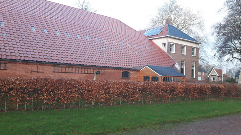 Originelle Gruppenunterkunft in Ostgroningen