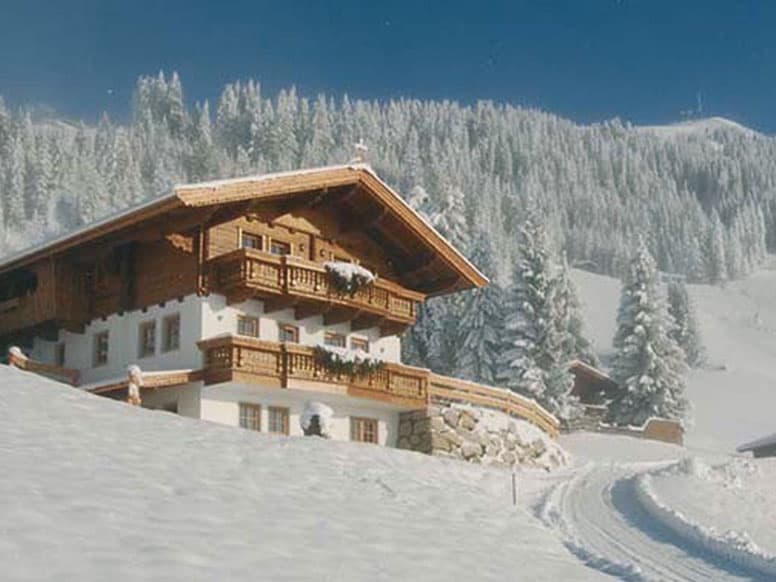 Hütte Hopfgarten