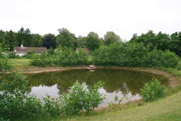 kleiner Teich im Außenbereich