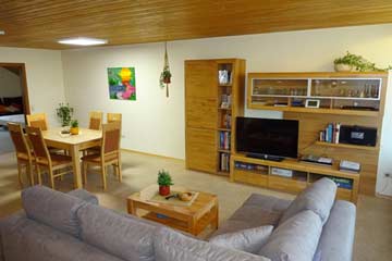 Wohnbereich mit Sofa und TV