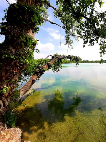 Am Burkheimer Baggersee