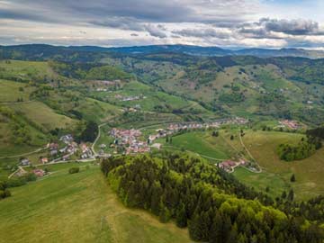 Herrlicher Schwarzwald