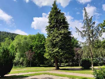 Im Kurpark direkt am Haus