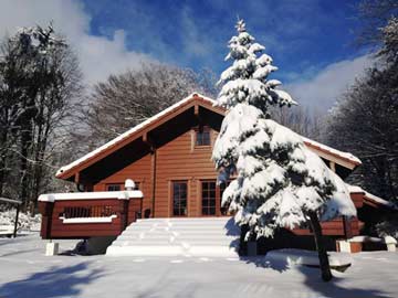 Komfortable Hütte Vogelsberg mit Sauna und Kamin