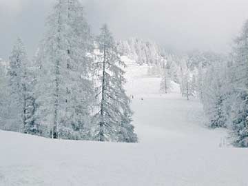 Herrlich verschneite Wälder neben den breiten Skipisten in der Skiregion Dachstein West