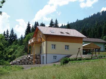 Ferienhaus Radstadt mit Sauna - Sommeransicht