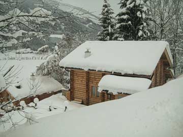 Charmante Berghütte mit Sauna im Pinzgau