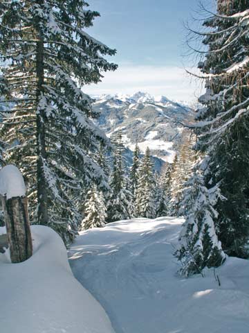 Skihütte Wagrain - ein Wintermärchen mitten in der Salzburger Sportwelt (Kundenfoto)