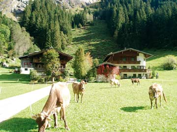 ländliche Idylle nahe Mayrhofen im Zillertal