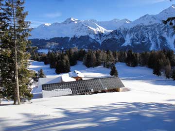 Ferienhaus Lenzerheide-Valbella in herrlicher Lage (in der linken Bildmitte kann man einen Skifahrer auf dem Weg zurück zur offiziellen Skipiste erkennen)